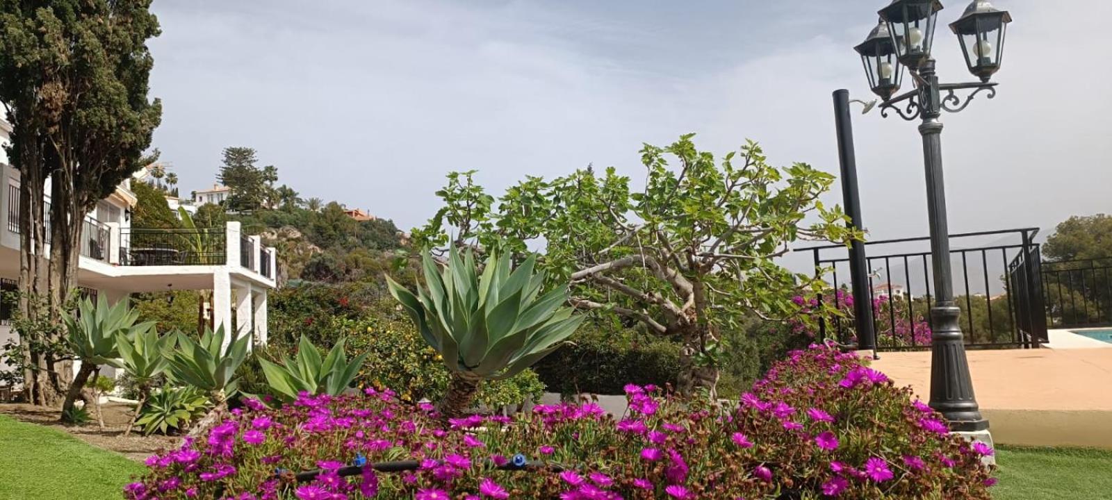 La Torrecica, Con Caracter Andaluz Y Magnificas Vistas Al Mar Y Sierra Nevada Villa Salobreña Buitenkant foto