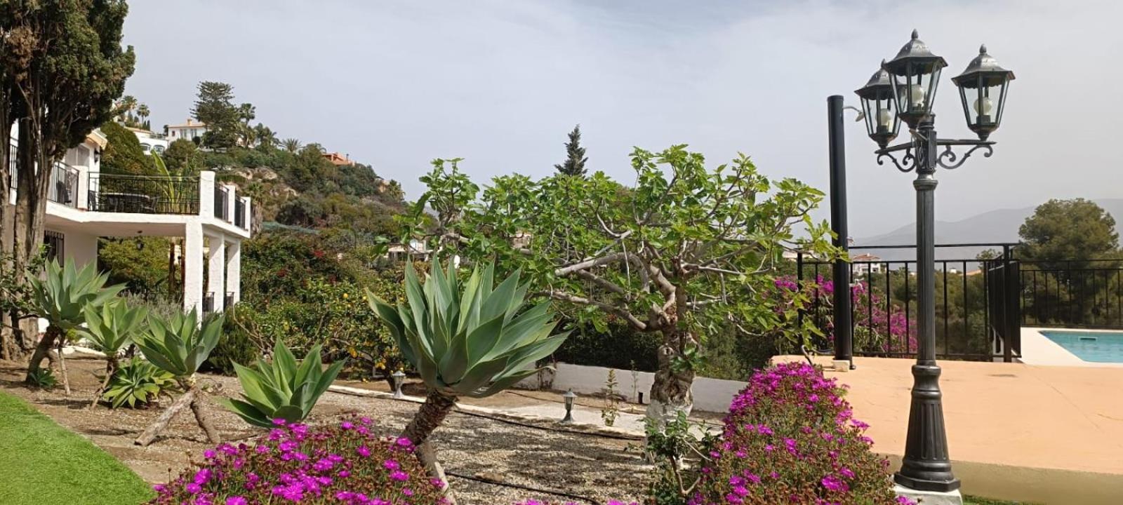 La Torrecica, Con Caracter Andaluz Y Magnificas Vistas Al Mar Y Sierra Nevada Villa Salobreña Buitenkant foto